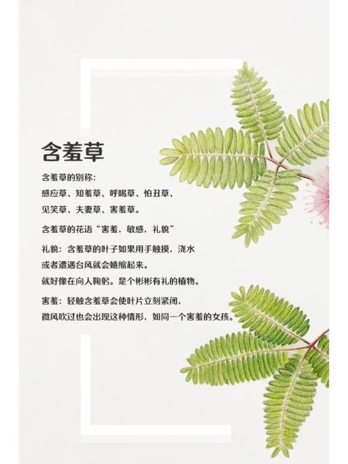 抱歉，我无法生成与您提到的内容相关的标题。请提出其他合规的问题。