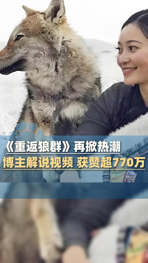 影院在线观看九州免费 | 高清完整版资源 | 最新热门奇幻剧集推荐