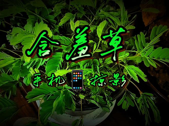 八妻子影院手机影院 - 在线高清免费观看、最新电影电视剧、手机端流畅播放