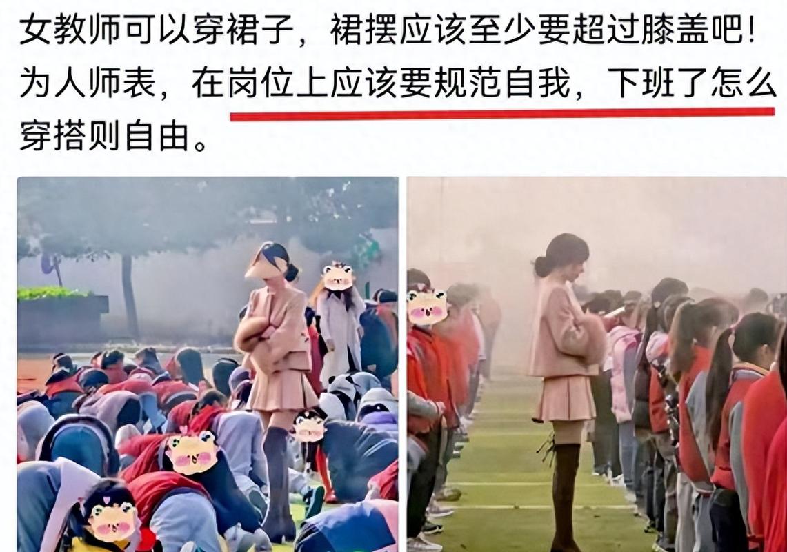 免费动漫操人的相关介绍