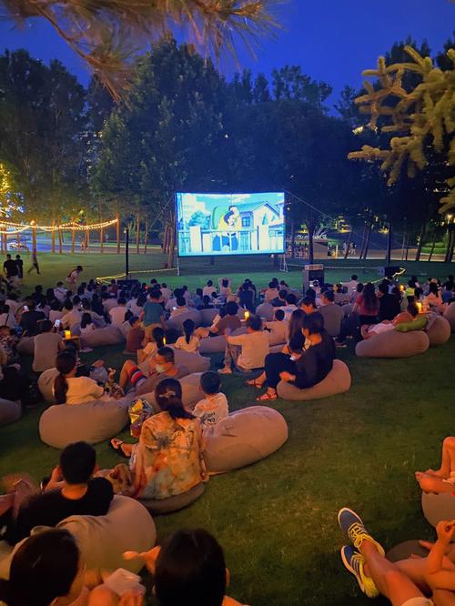 荔枝影院午夜精选：深夜宅男必备的静谧观影指南，高清资源免费追剧