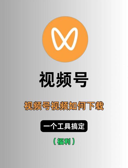 老司机电影院普通体验区：普通厅观影实测与性价比分析，新手选座避坑指南