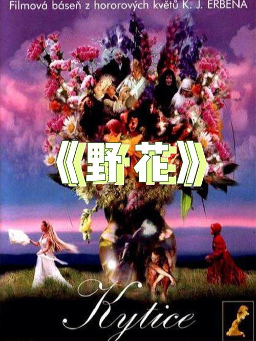 松原电影院 | 最新电影排期查询、今日热映影片推荐、松原本地观影指南