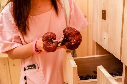 VIP影院在线观看：海量高清大片、独家热门剧集、无广告畅享追剧体验