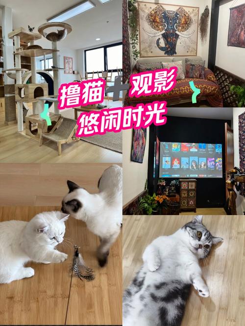 大地电影院最新排片表 | 今日热映影片推荐 | 周边影院优惠活动