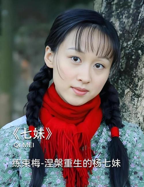 二八影院的相关介绍