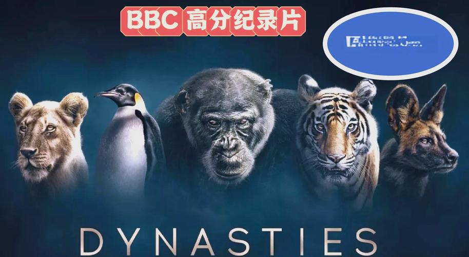 万全影院观影指南：2025最新排片表与热门电影推荐（长尾关键词：万全影院今日影讯、万全影院票价查询、万全影院周边美食）