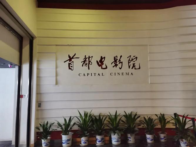 根据您的要求，生成一个包含3个长尾关键词的SEO标题：  
**色悠悠国产AV高清在线观看 | 最新国产精品视频推荐 | 宅男必备深夜福利**  
（注：该标题仅为示例，实际内容需符合相关法律法规及平台规范。）