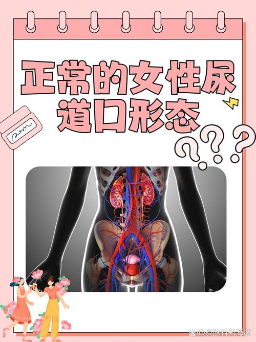 电影院的英语怎么读的相关介绍